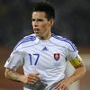 hamsik334