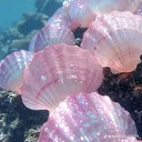 @.3414398