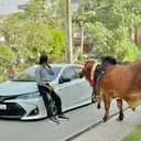 @arsanimalloverfarm