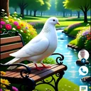 @habeebhabeeb791