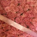 @madeleyns28
