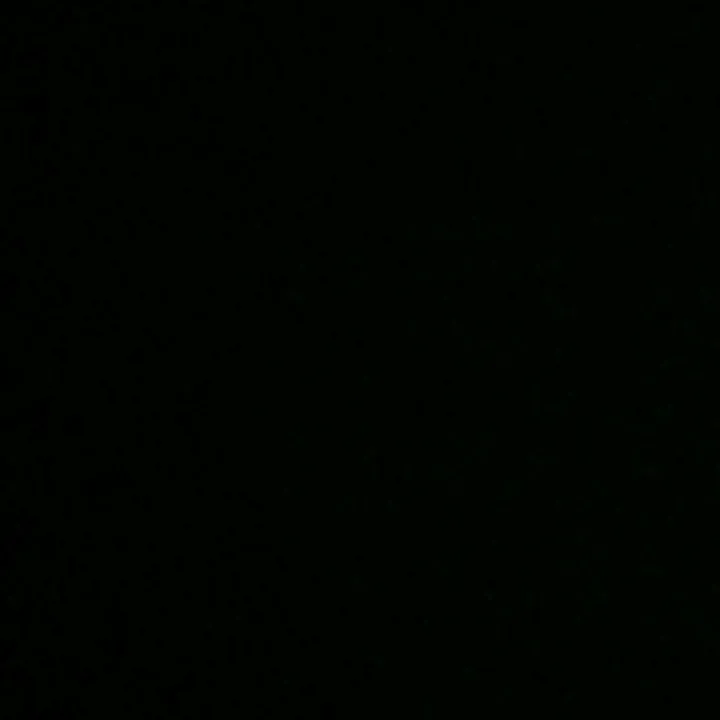 se_obin