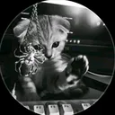 @kunanta1_2