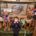 @louis.harry.ridgeback