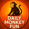 dailymonkeyfun