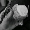 @curiouserand_