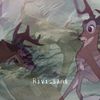 rivi_s72s