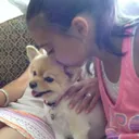 @dessellers_