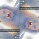 @sammi._.xox