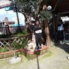 annyaury