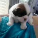 @manuelyeduarda