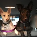 @discodogs13