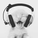 @kayamusic