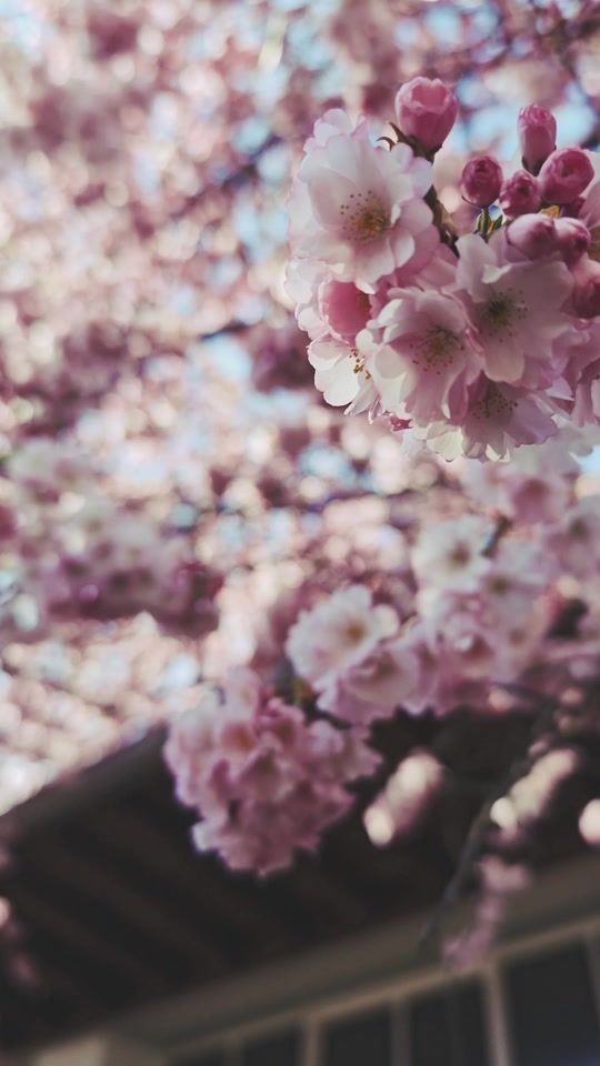 TikTok video thumbnail by xiaomi.official
