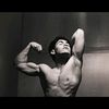 matteo_stara