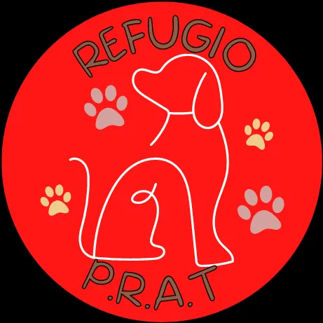 @refugiop.r.a.t