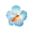 @kateye.loverrr
