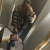 _ilaria_77