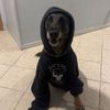 k9.corporal