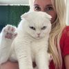 blondiewithcatshair