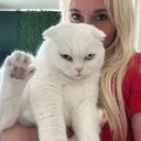 @blondiewithcatshair