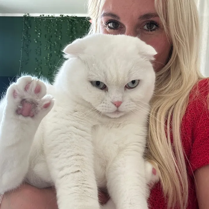 blondiewithcatshair