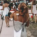 @apocketfulloffur