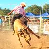 gilbertonegrete7