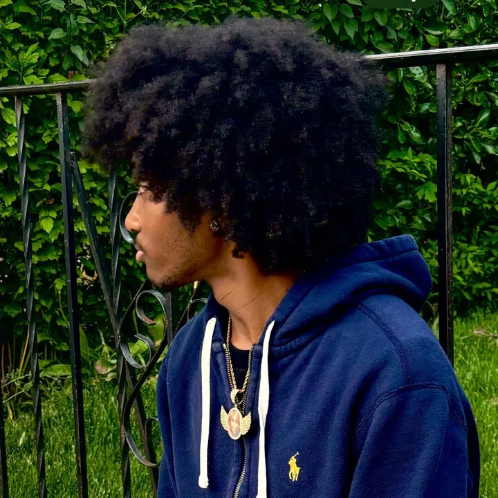 stowyckclips