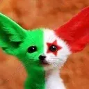 @almotamared96