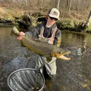 @holstonnativeflyfishing