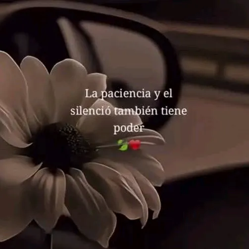 a.d.yl.18