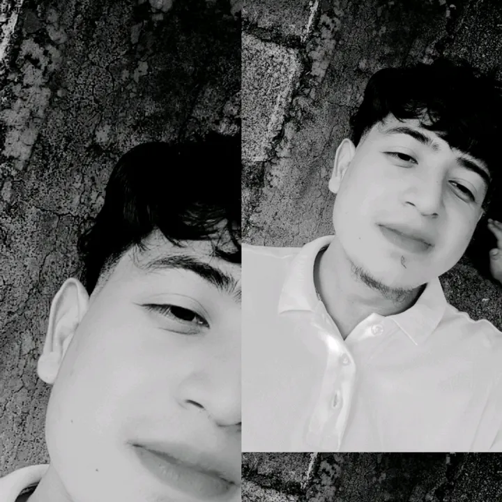 gustavo22hn