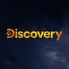 discovery