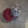 littlemisssmollie