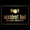 accidentbuddy