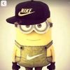 avg_sa1ris