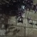 @kacem.alkacimi