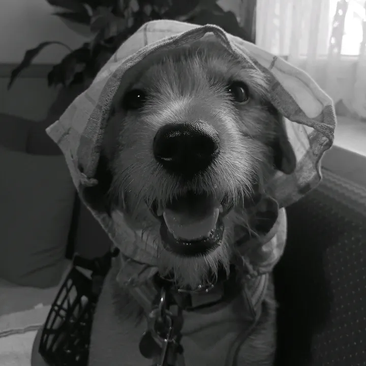 zoeyondrip