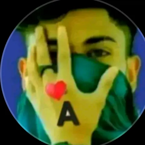 sddibo24
