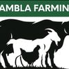 samblafarming
