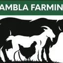 @samblafarming