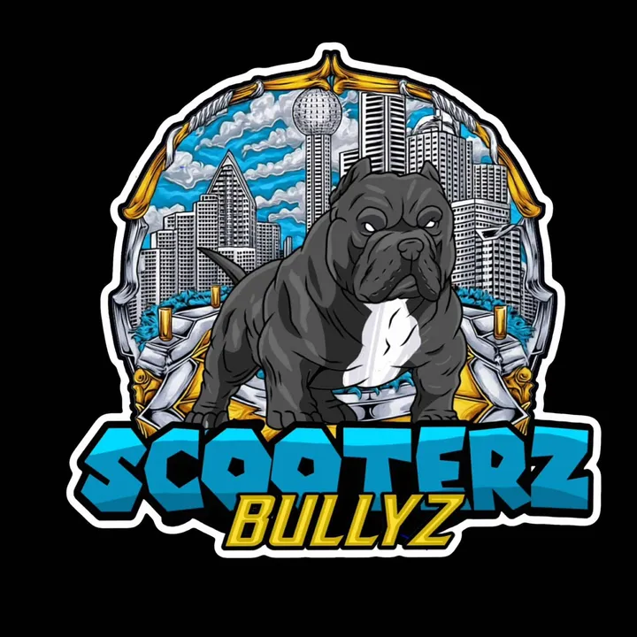 scooterzbullyz