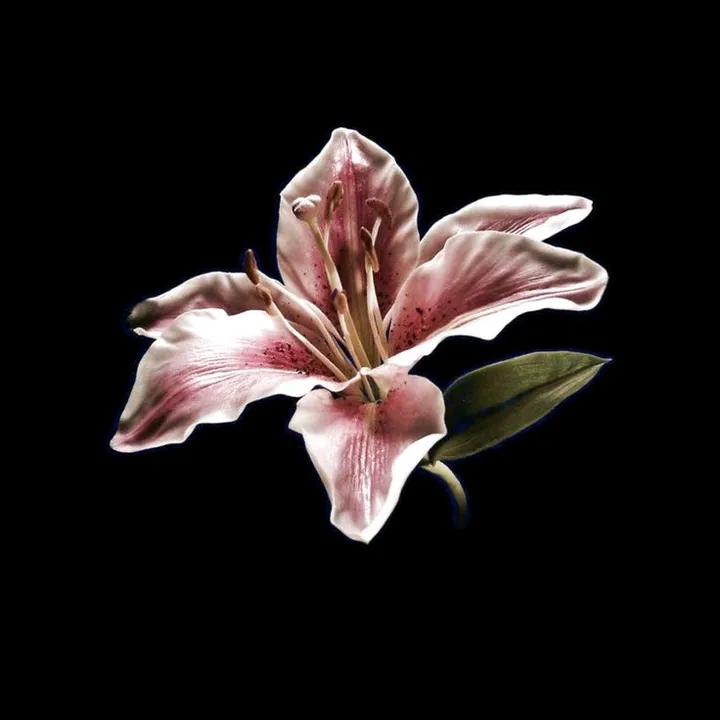 @m4jkaaa3