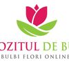 depozituldebulbi