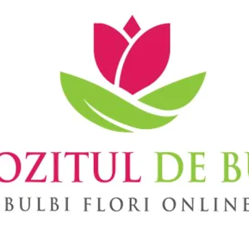 @depozituldebulbi