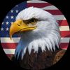 baldeagle.usa
