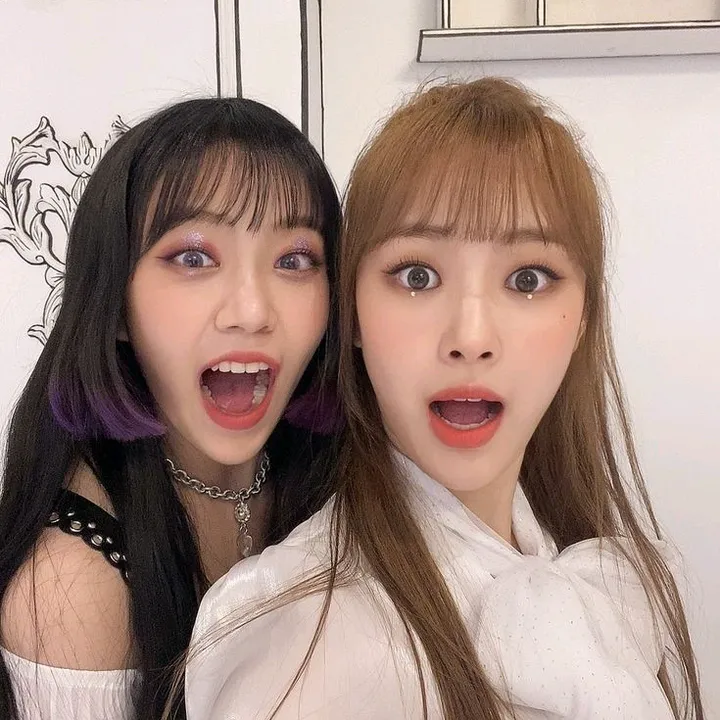 gwsnreinas