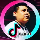 @ricardodezhaoficial