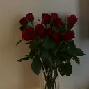 @kaiff_0_